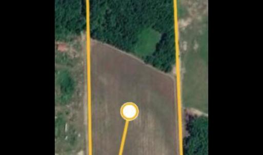 Photo #2 of Bethel Baptist, Spring Lake, NC 38.1 acres