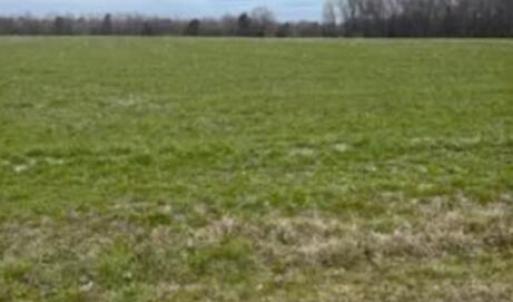 Photo #3 of Bethel Baptist, Spring Lake, NC 38.1 acres