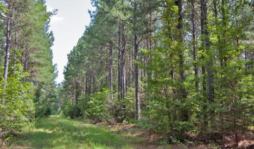 Photo #17 of Buckhorn Road, Bullock, NC 362.5 acres