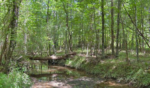 Photo #41 of Buckhorn Road, Bullock, NC 362.5 acres