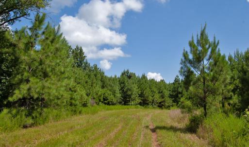 Photo #24 of Buckhorn Road, Bullock, NC 362.5 acres