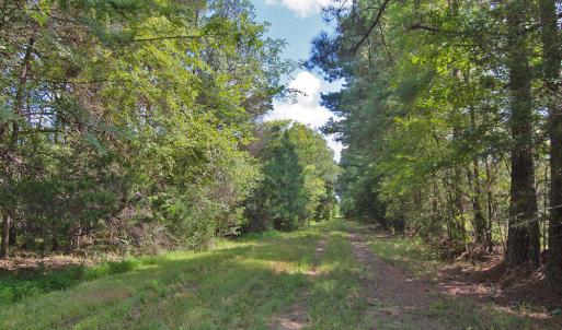 Photo #5 of Buckhorn Road, Bullock, NC 362.5 acres