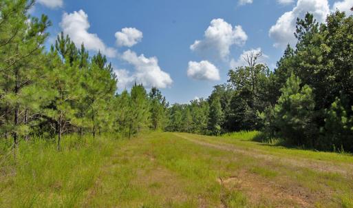 Photo #7 of Buckhorn Road, Bullock, NC 362.5 acres