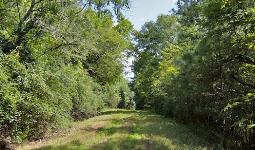 Photo #3 of Buckhorn Road, Bullock, NC 362.5 acres