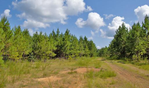 Photo #18 of Buckhorn Road, Bullock, NC 362.5 acres