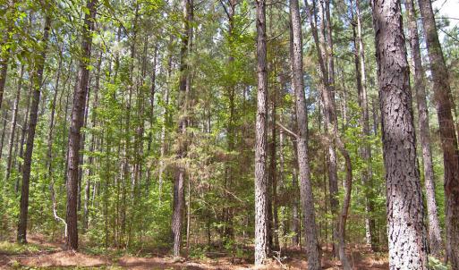 Photo #35 of Buckhorn Road, Bullock, NC 362.5 acres