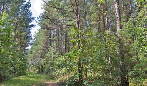 Photo #20 of Buckhorn Road, Bullock, NC 362.5 acres