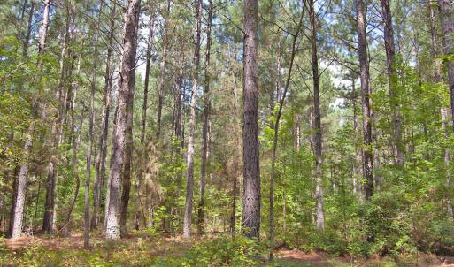 Photo #36 of Buckhorn Road, Bullock, NC 362.5 acres