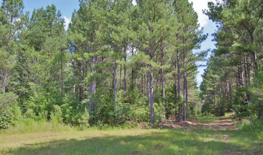 Photo #12 of Buckhorn Road, Bullock, NC 362.5 acres