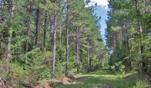 Photo #2 of Buckhorn Road, Bullock, NC 362.5 acres