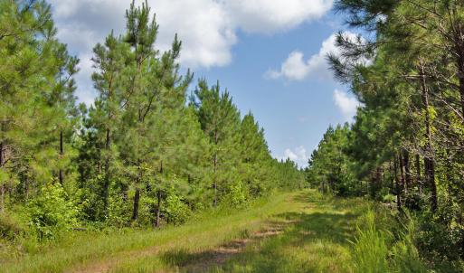 Photo #15 of Buckhorn Road, Bullock, NC 362.5 acres