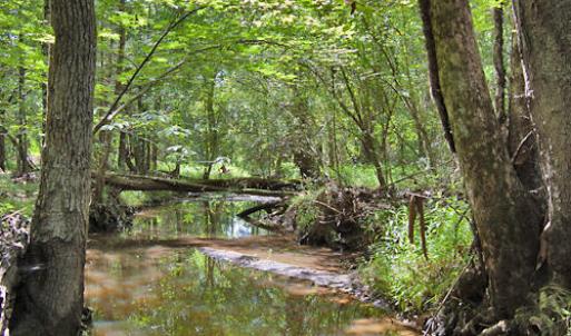 Photo #47 of Buckhorn Road, Bullock, NC 362.5 acres