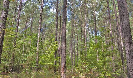 Photo #25 of Buckhorn Road, Bullock, NC 362.5 acres