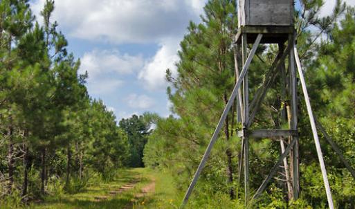 Photo #16 of Buckhorn Road, Bullock, NC 362.5 acres