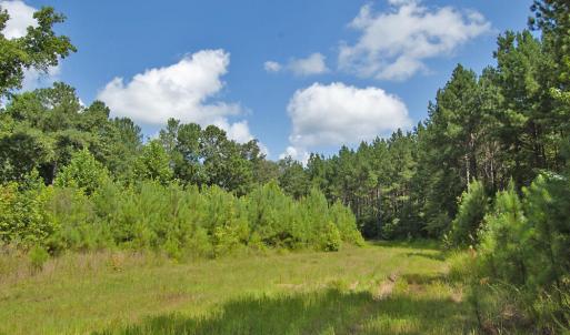 Photo #1 of Buckhorn Road, Bullock, NC 362.5 acres