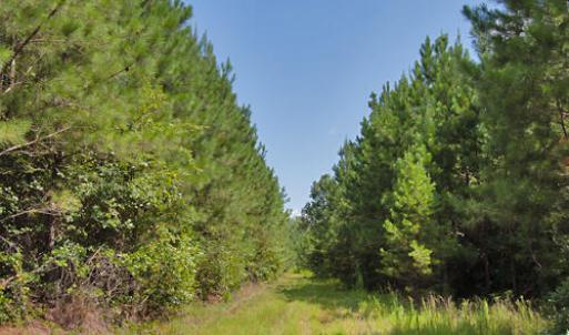Photo #23 of Buckhorn Road, Bullock, NC 362.5 acres