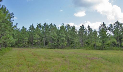 Photo #40 of Buckhorn Road, Bullock, NC 362.5 acres