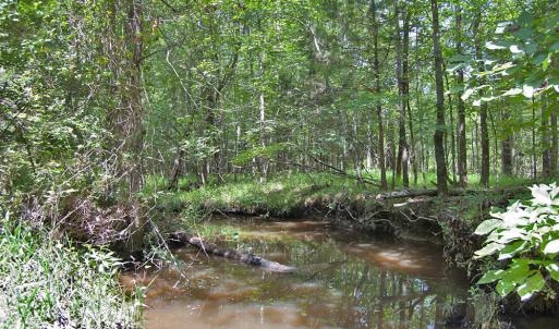 Photo #6 of Buckhorn Road, Bullock, NC 362.5 acres