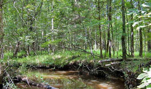 Photo #43 of Buckhorn Road, Bullock, NC 362.5 acres