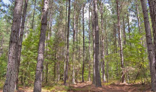 Photo #30 of Buckhorn Road, Bullock, NC 362.5 acres