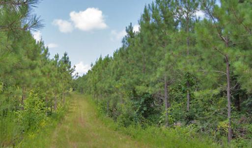 Photo #39 of Buckhorn Road, Bullock, NC 362.5 acres