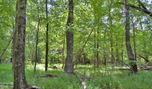 Photo #42 of Buckhorn Road, Bullock, NC 362.5 acres