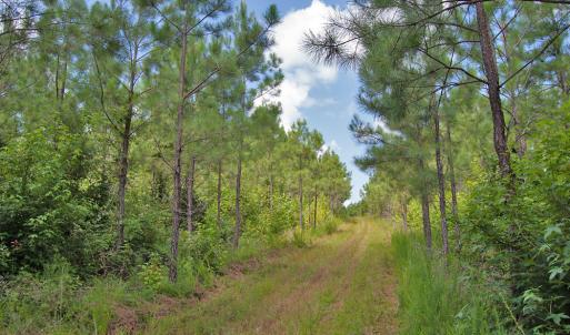 Photo #31 of Buckhorn Road, Bullock, NC 362.5 acres