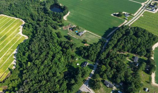 Photo #1 of 123 Holly Grove, Benson, NC 12.3 acres