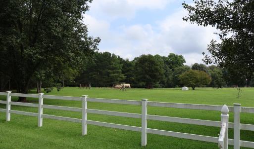 Photo #3 of 123 Holly Grove, Benson, NC 12.3 acres