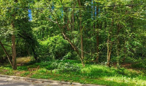 Photo #5 of 3020 Buckingham, Durham, NC 0.4 acres