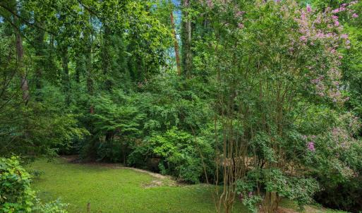 Photo #6 of 3020 Buckingham, Durham, NC 0.4 acres