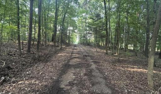 Photo #2 of 647 Joe Brown, Bear Creek, NC 50.3 acres
