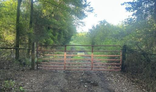 Photo #3 of 647 Joe Brown, Bear Creek, NC 50.3 acres