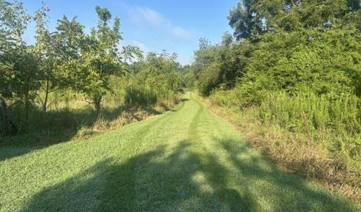 Photo #16 of 647 Joe Brown, Bear Creek, NC 50.3 acres