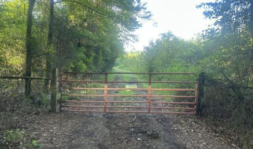 Photo #3 of 647 Joe Brown, Bear Creek, NC 50.3 acres