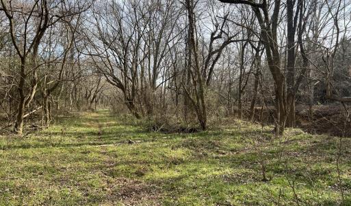 Photo #56 of 6061 River Run, Graham, NC 19.1 acres