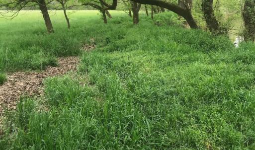 Photo #57 of 6061 River Run, Graham, NC 19.1 acres