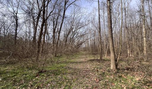 Photo #53 of 6061 River Run, Graham, NC 19.1 acres