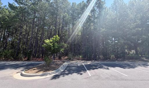 Photo #7 of 3112 Page, Morrisville, NC 1.6 acres