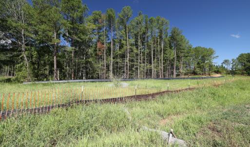 Photo #10 of 1941 Walter Bright Road, Sanford, NC 70.1 acres