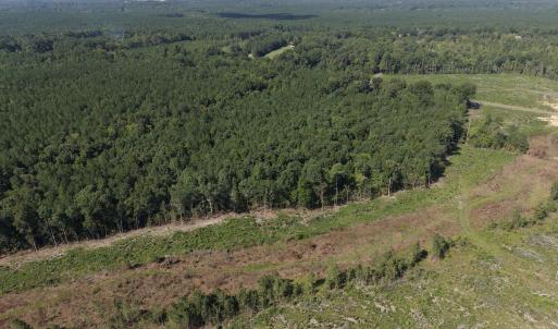 Photo #2 of 1941 Walter Bright Road, Sanford, NC 70.1 acres