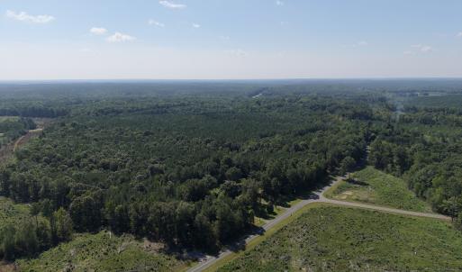Photo #9 of 1941 Walter Bright Road, Sanford, NC 70.1 acres