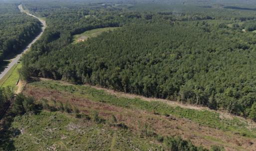 Photo #3 of 1941 Walter Bright Road, Sanford, NC 70.1 acres