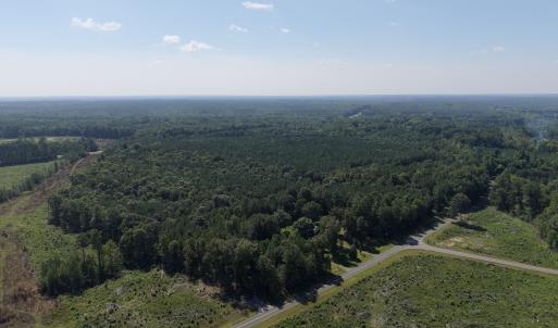 Photo #8 of 1941 Walter Bright Road, Sanford, NC 70.1 acres