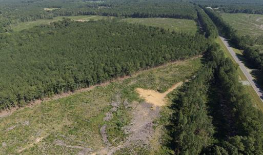 Photo #4 of 1941 Walter Bright Road, Sanford, NC 70.1 acres