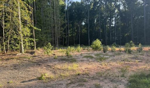 Photo #8 of 206 Rev Lewis, Henderson, NC 1.4 acres