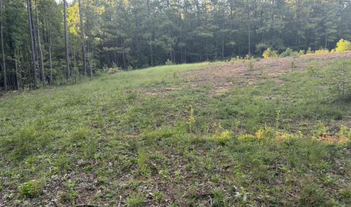 Photo #15 of 206 Rev Lewis, Henderson, NC 1.4 acres