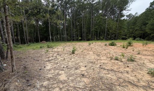 Photo #4 of 206 Rev Lewis, Henderson, NC 1.4 acres