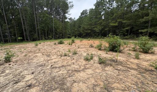Photo #11 of 206 Rev Lewis, Henderson, NC 1.4 acres