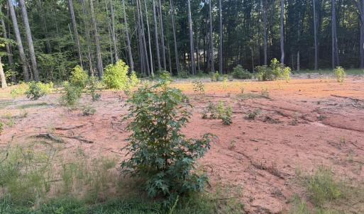 Photo #5 of 206 Rev Lewis, Henderson, NC 1.4 acres